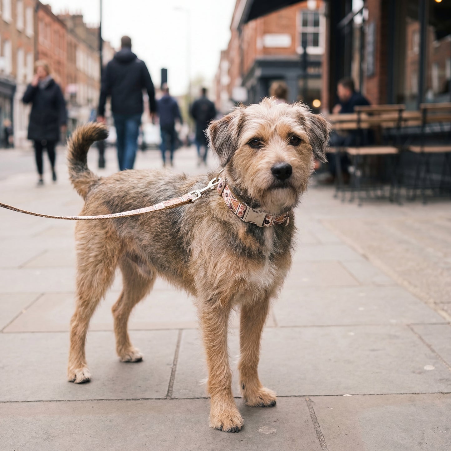 The Everbloom Collar